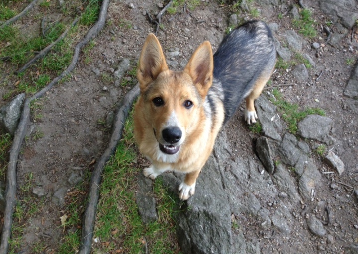 happy_1379173027Foto 2.JPG