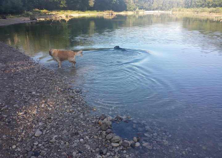 happy_13779455672013-08-05 07.56.03.jpg