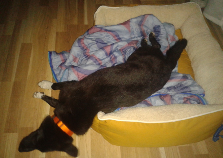 happy_13768573802013-07-22 21_08_11.jpg