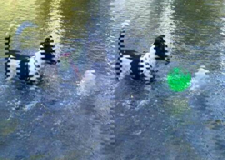 happy_1376517597Una im Wasser.jpg