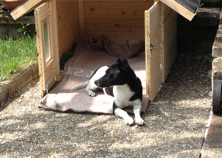 happy_1376517597Una und ihr Häuschen.JPG