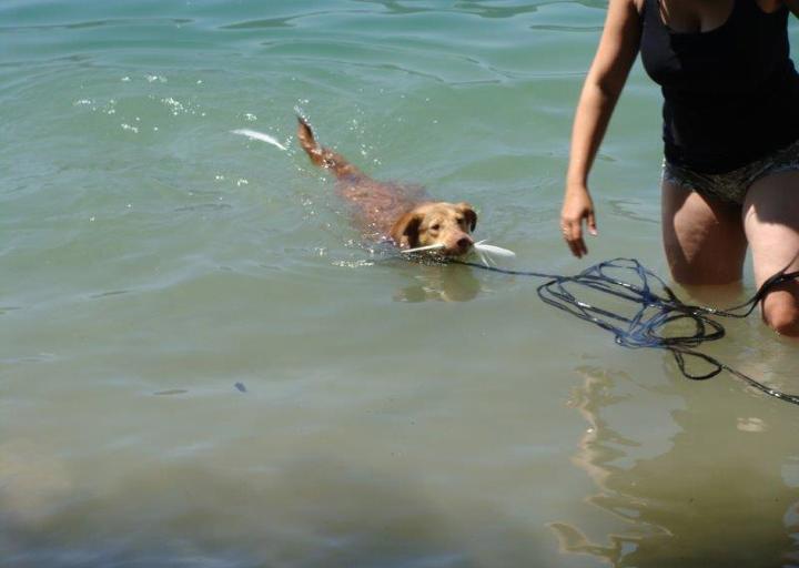 happy_13748671762013-07-16 23.54.43.jpg