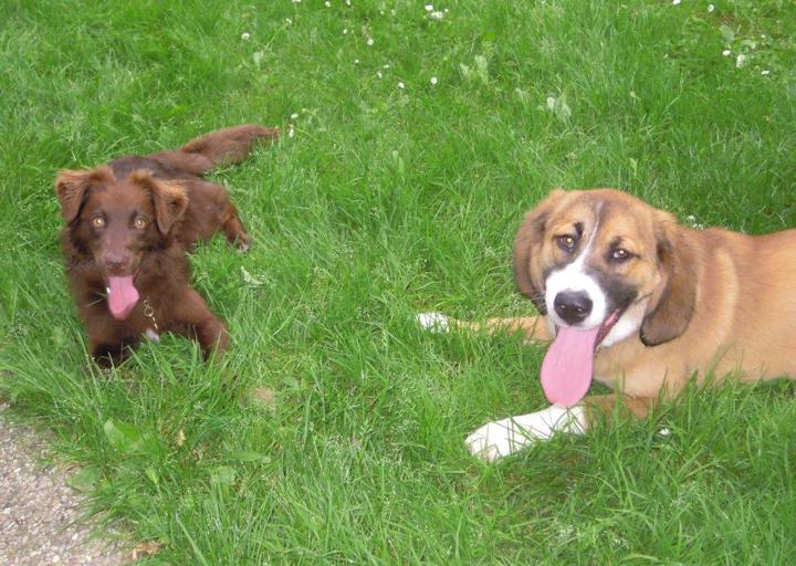 happy_1374094181Mara(Merla) Lilith (My Lady).jpg