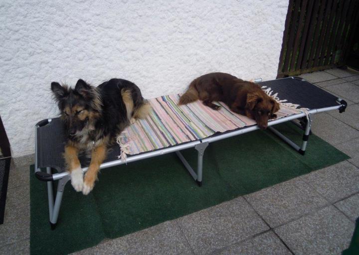 happy_1374094181Mara mit Freund Bingo.jpg