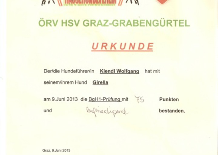 happy_1371487002Urkunde Ella BgH1 vom 9_6_2013.jpeg