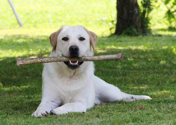 happy_1370763978flynn2 (2).jpg