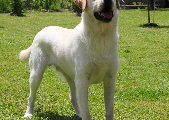 happy_1370763978flynn3 (2).jpg