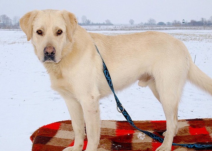 happy_1372532398Ethan 081.jpg