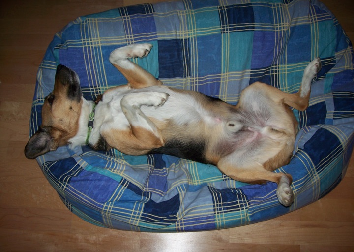 happy_1368213151ich fühl mich soooo wohl.JPG