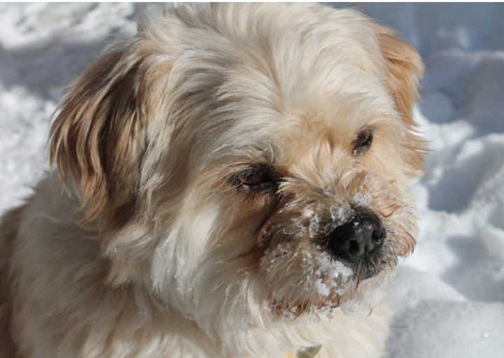 happy_1365500725Rinti 2.jpg