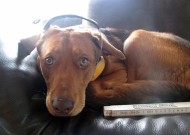 happy_1360277394Netti Vorarbeiter.jpeg