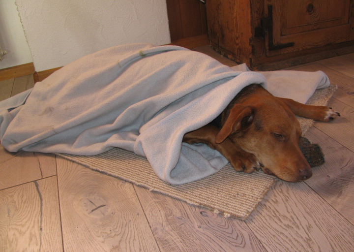 happy_1360277394Nach der Kastration 30_1_13.JPG