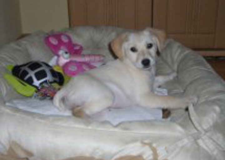 happy_1357007664Niki_2 (1).jpg