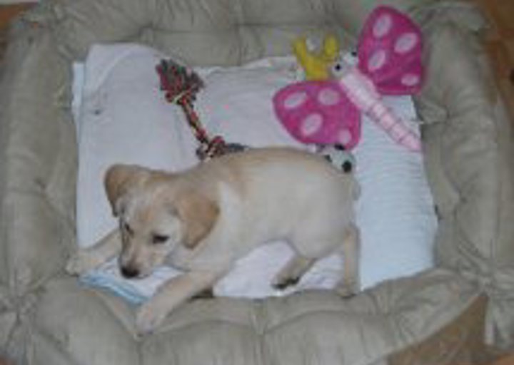 happy_1357007664Niki_2 (2).jpg