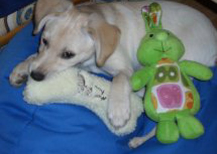 happy_1357007664Niki_2 (4).jpg