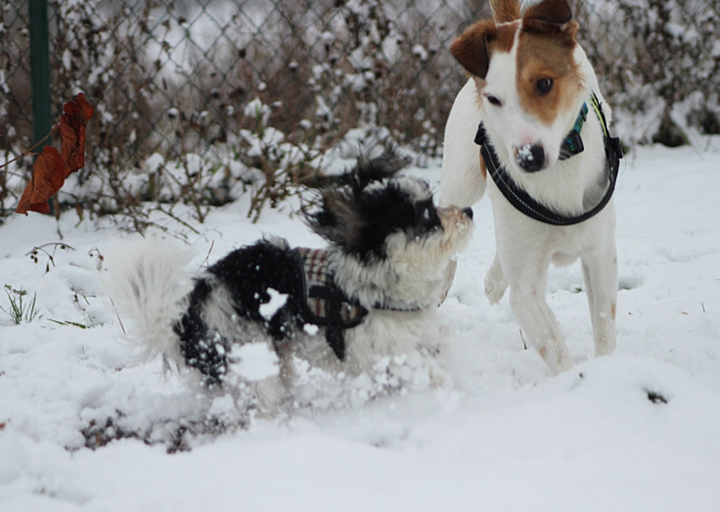 happy_1360707388Fotos Maggie-2.jpg