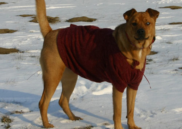 happy_1357001363karma in the snow.JPG