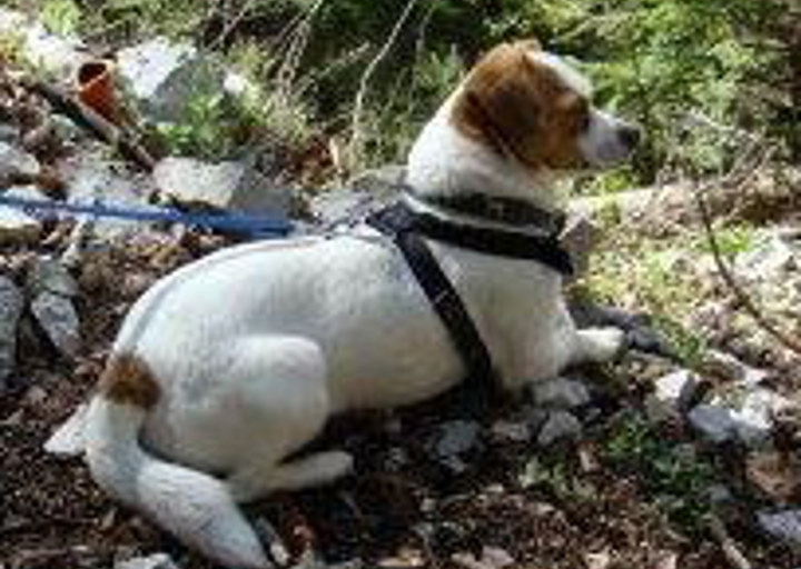 happy_1357003303für ACA_2012-12_engl-1.jpg