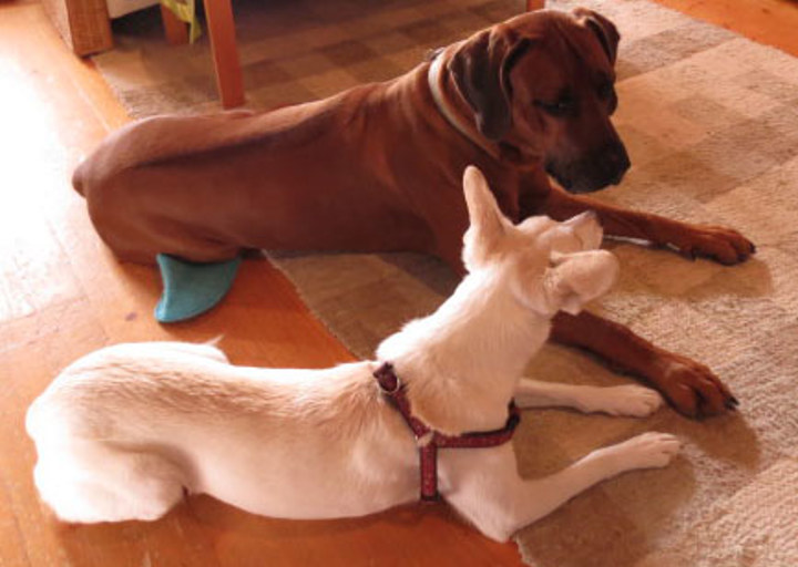 happy_1356997463agar .jpg