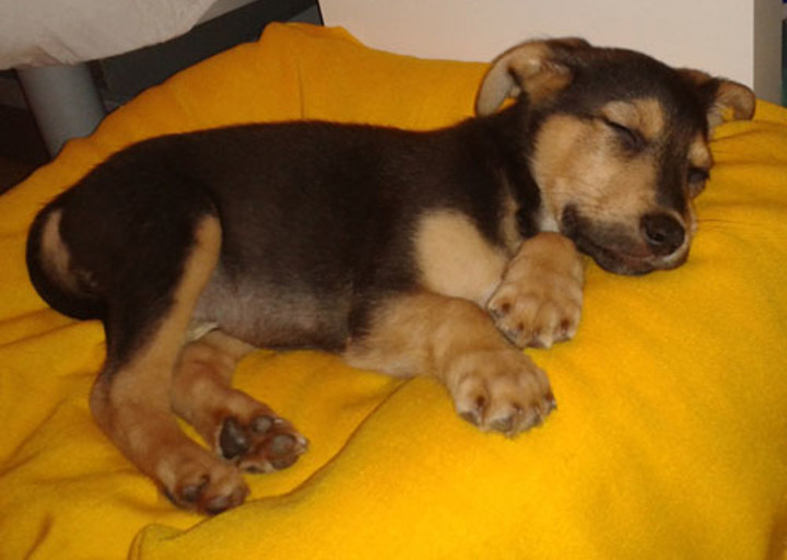 happy_1355877445Lido 2.jpg