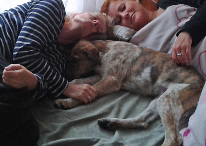 happy_1351732653Johnny (3).jpg