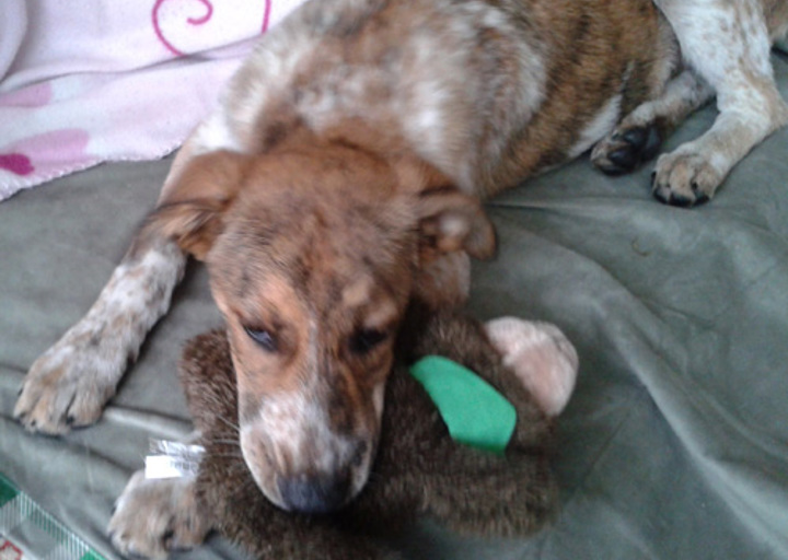 happy_1351732653Johnny (1).jpg