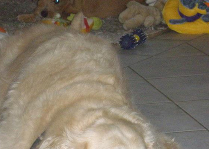 happy_1352665513Eliot (5).jpg