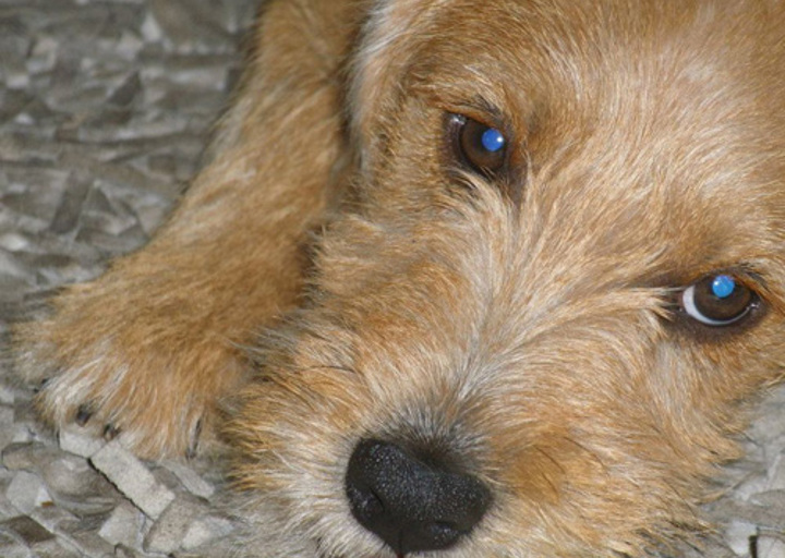 happy_1352665513Eliot (6).jpg