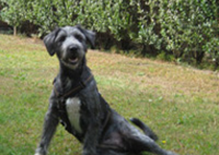 happy_1351726079Tanja im Garten 3.jpg