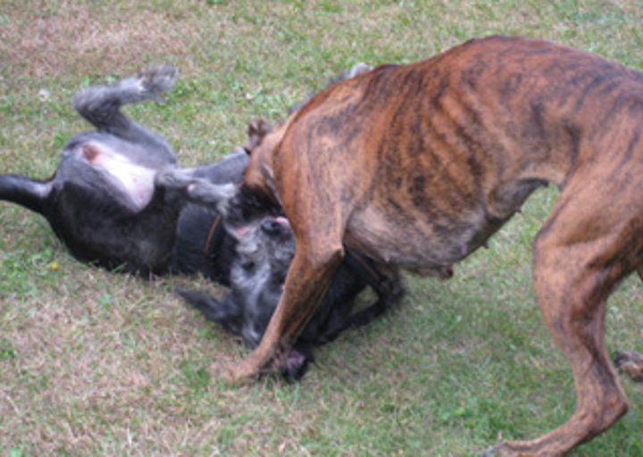 happy_1351726079Tanja m neuer Freundin b Spielen.jpg