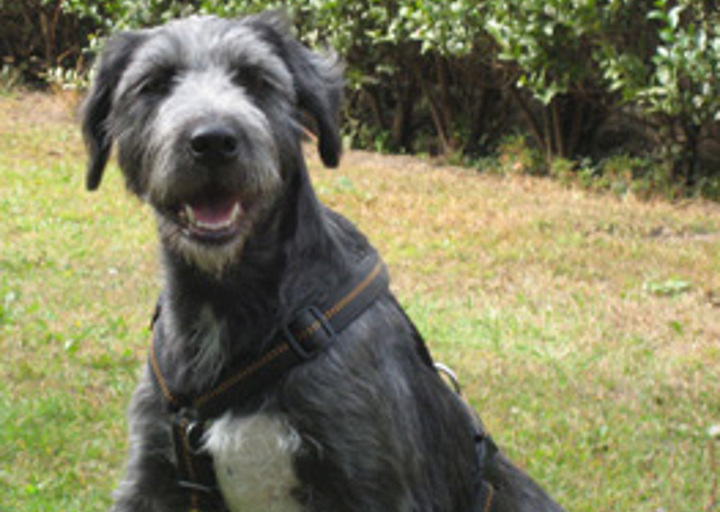 happy_1351726079Tanja im Garten 2.jpg