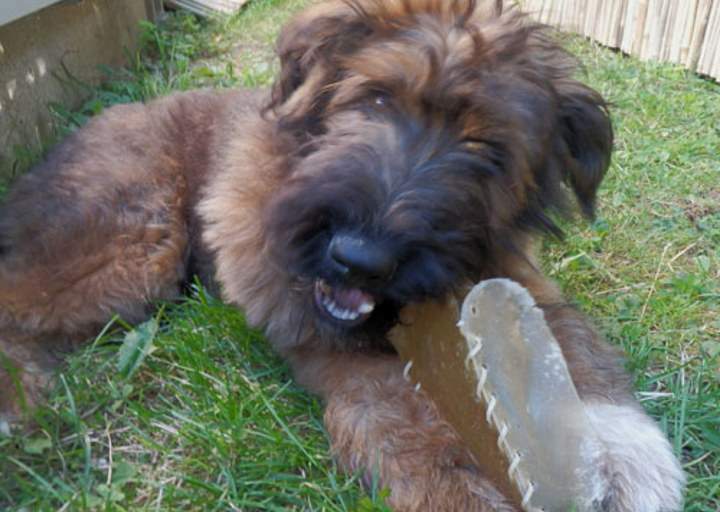 happy_1351458613Kessy (4).JPG