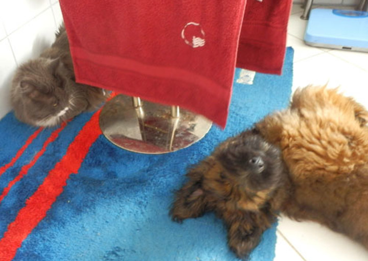 happy_1351458613Kessy (2).JPG