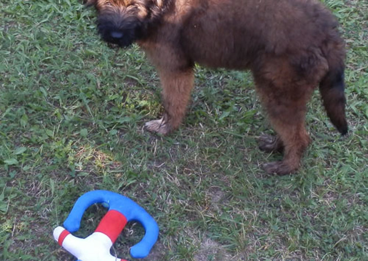 happy_1351458613Kessy _5.JPG