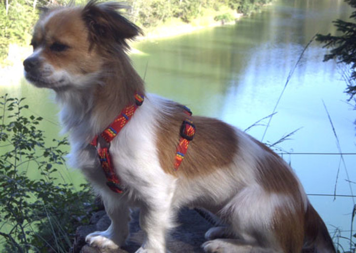 happy_1351457306Cheri _3.JPG