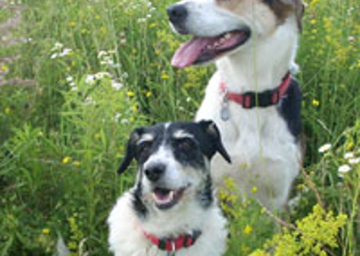 happy_1320434336image2.jpg