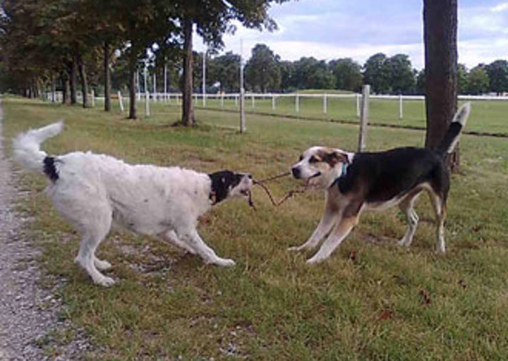 happy_1320434336image1.jpg