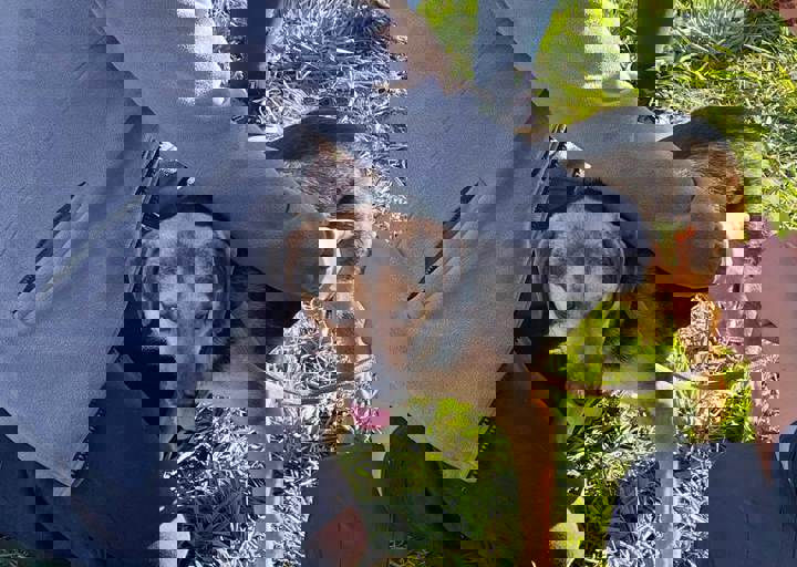 Aca Careday Okt 2025 64