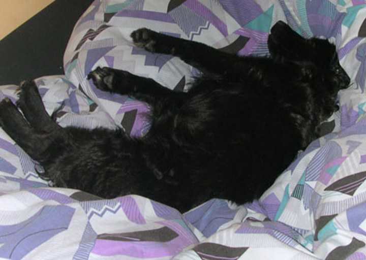 happy_1355876503meggi bett.JPG