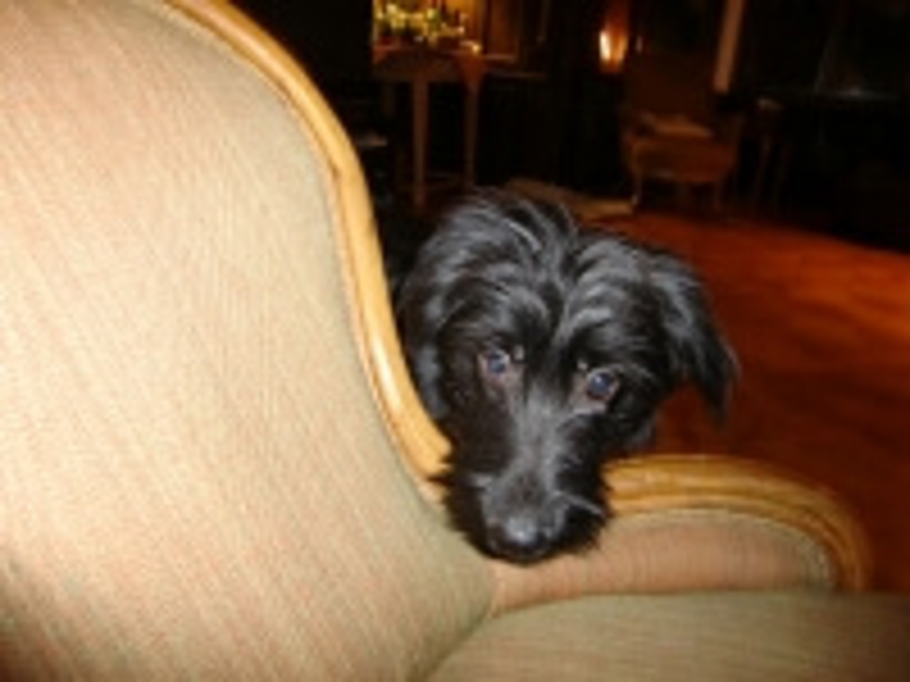 merge_200_Heidi süsse.jpg