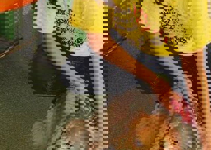 rumaenien_mai_2013_534.jpg
