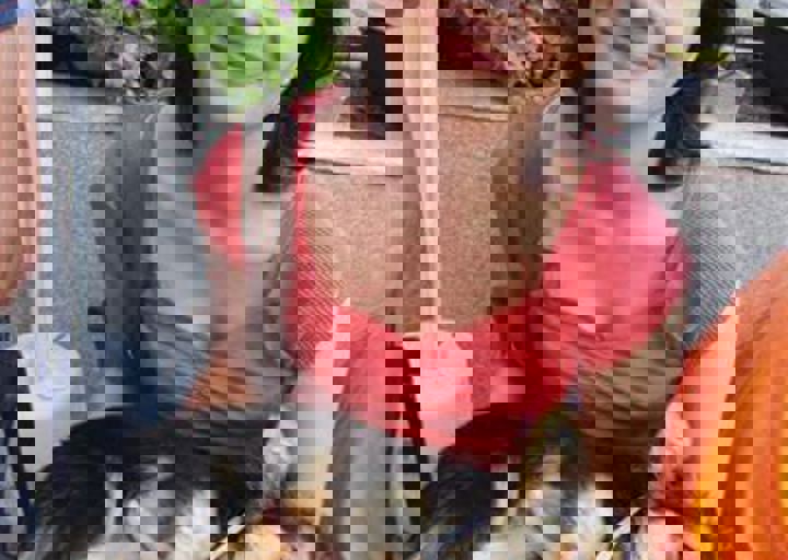 rumaenien_mai_2013_635.jpg