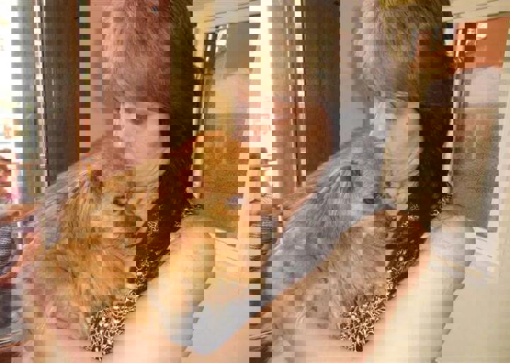 rumaenien_mai_2013_827.jpg