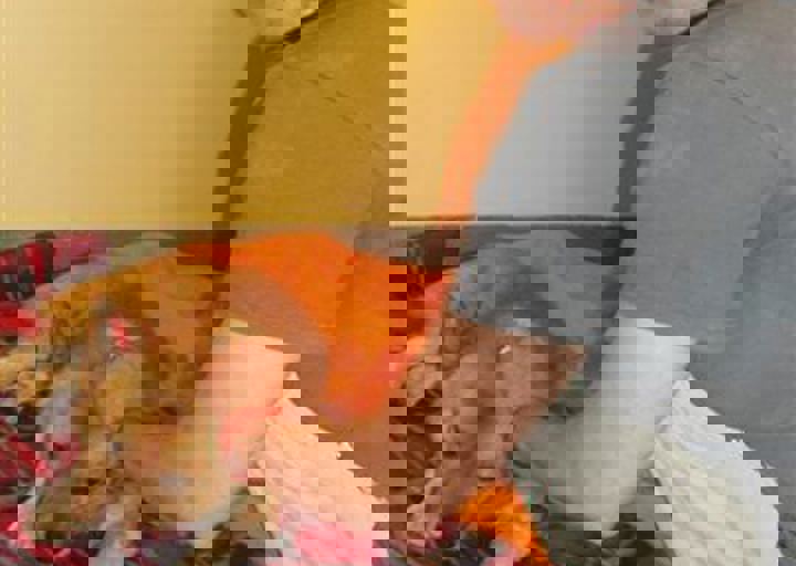 rumaenien_mai_2013_856.jpg