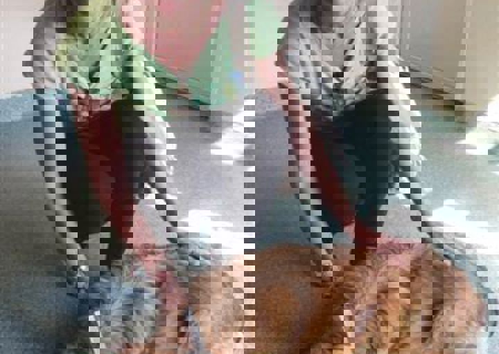 rumaenien_mai_2013_918.jpg