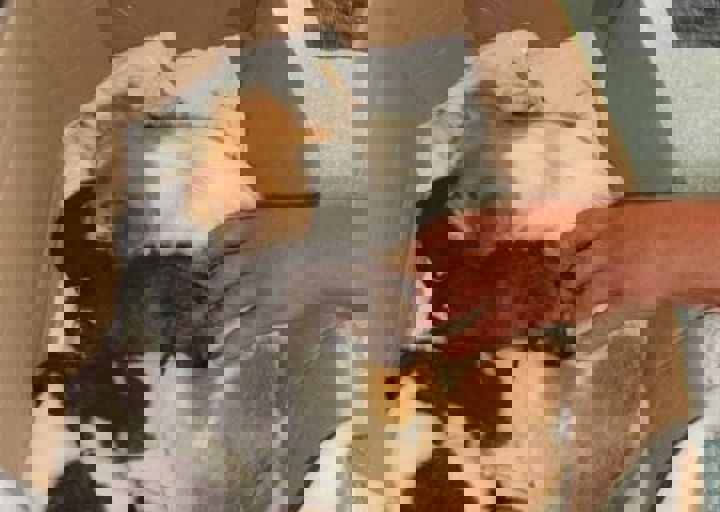 rumaenien_mai_2013_1006.jpg