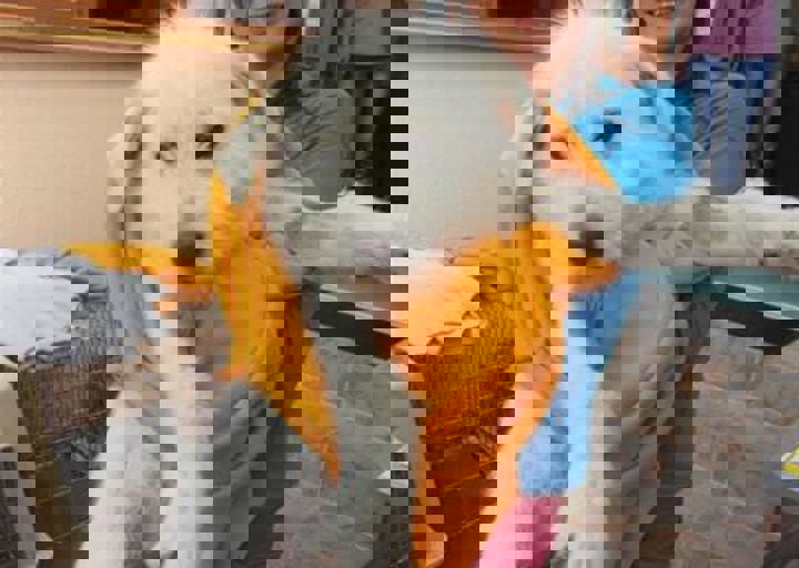 rumaenien_mai_2013_1008.jpg