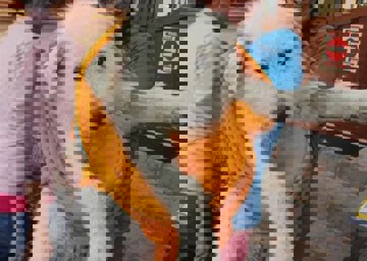 rumaenien_mai_2013_1009.jpg