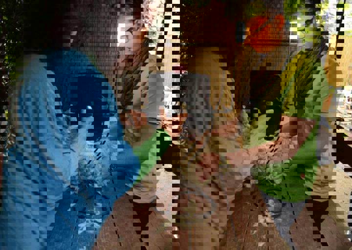 careday_006.jpg