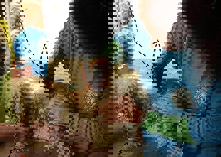 careday_008.jpg